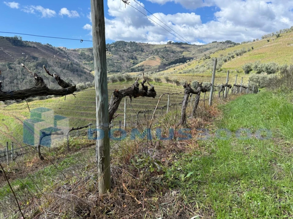 Quinta para Venda em Sever Foto 104