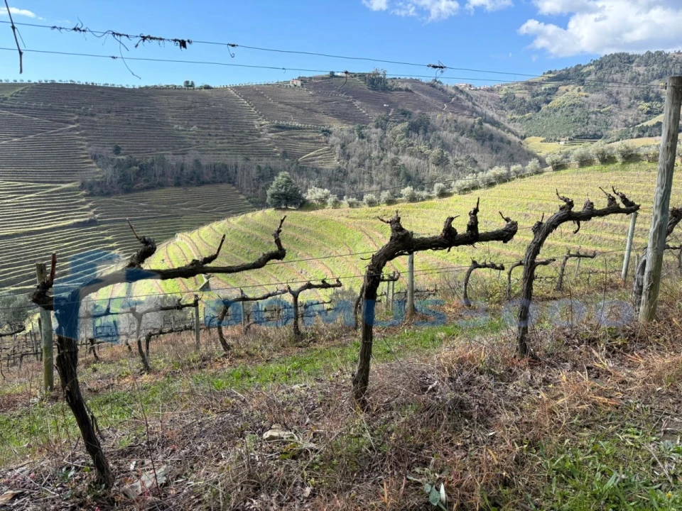 Quinta para Venda em Sever Foto 105