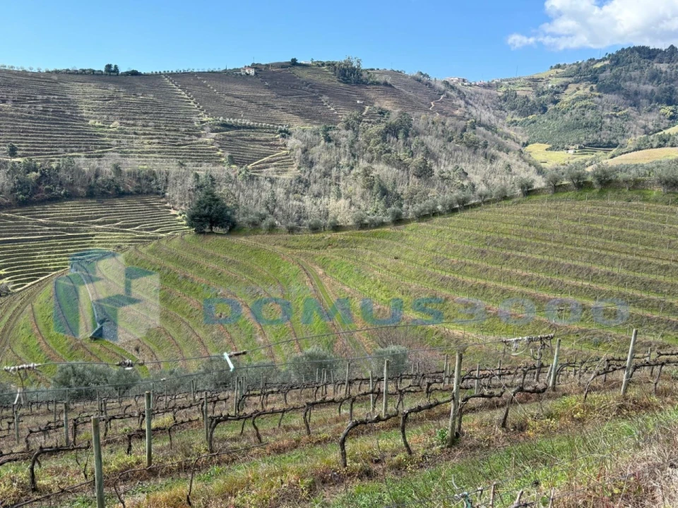 Quinta para Venda em Sever Foto 106