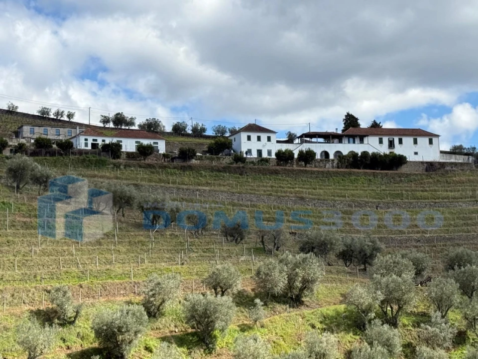 Quinta para Venda em Sever Foto 109