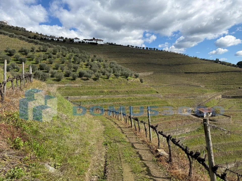 Quinta para Venda em Sever Foto 111