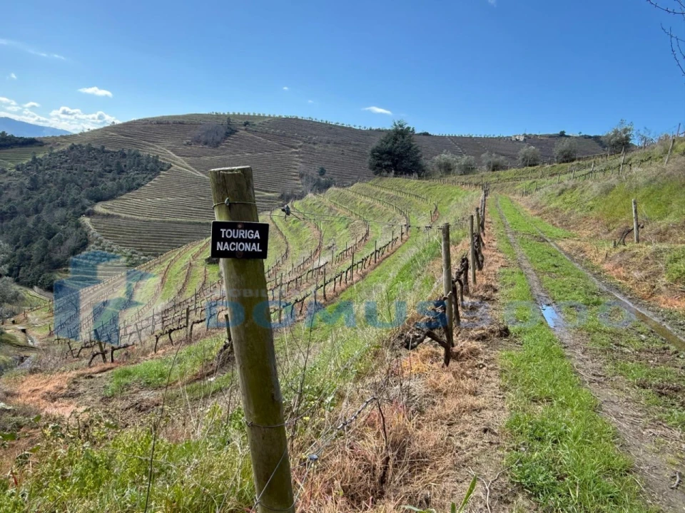 Quinta para Venda em Sever Foto 115