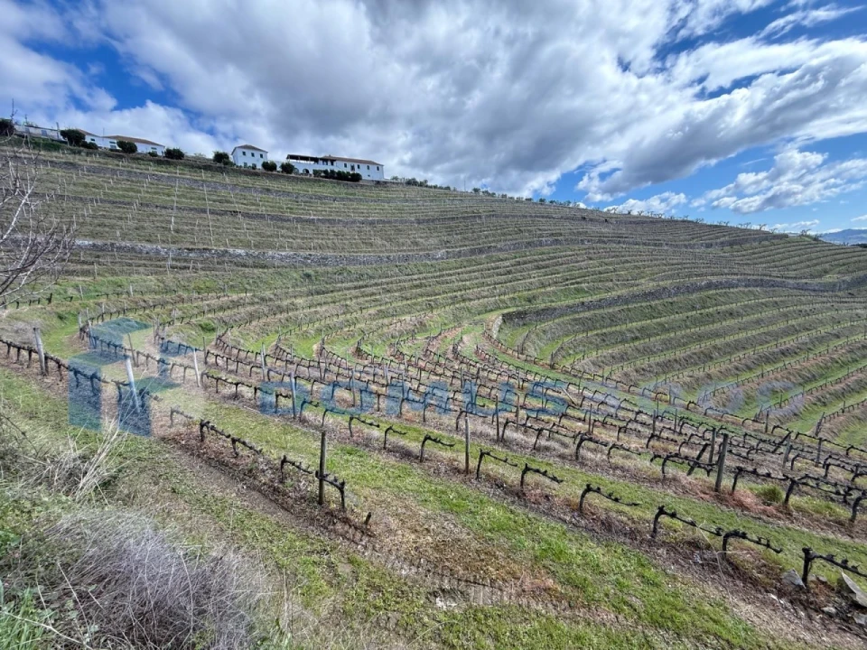 Quinta para Venda em Sever Foto 118