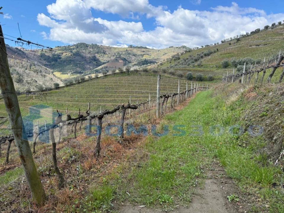 Quinta para Venda em Sever Foto 120