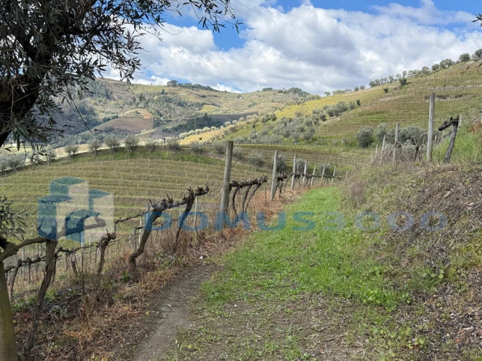 Quinta para Venda em Sever Foto 121