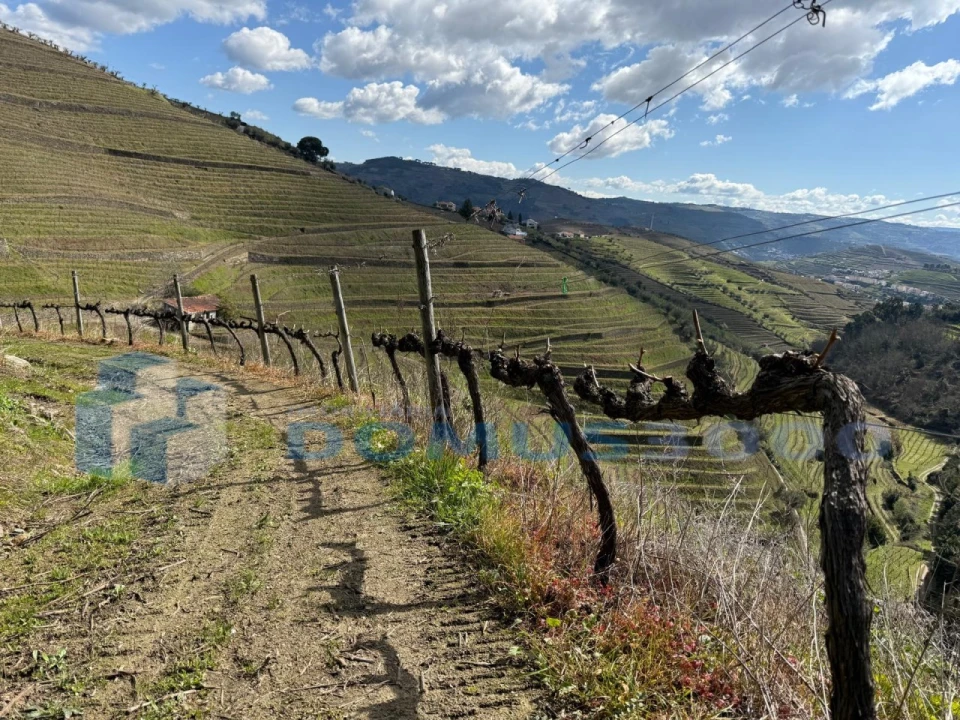 Quinta para Venda em Sever Foto 126