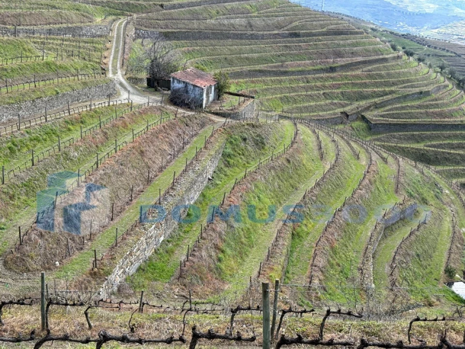 Quinta para Venda em Sever Foto 127