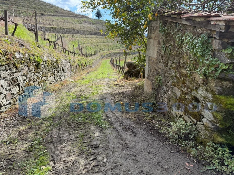 Quinta para Venda em Sever Foto 130