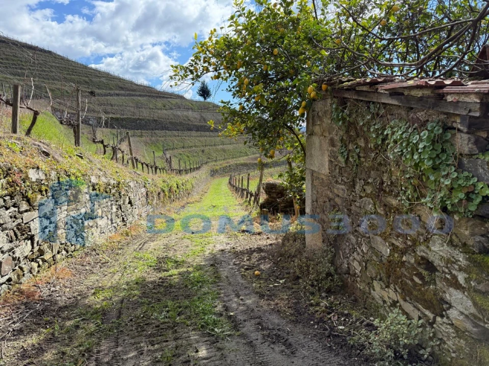 Quinta para Venda em Sever Foto 136