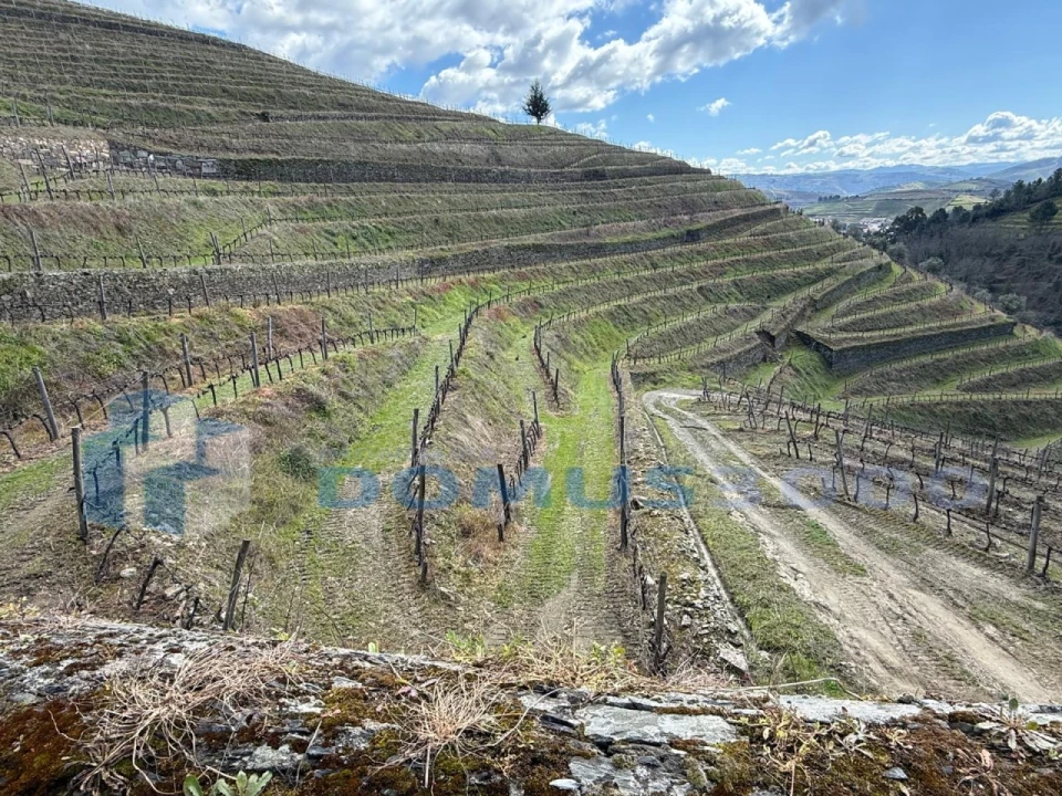 Quinta para Venda em Sever Foto 138