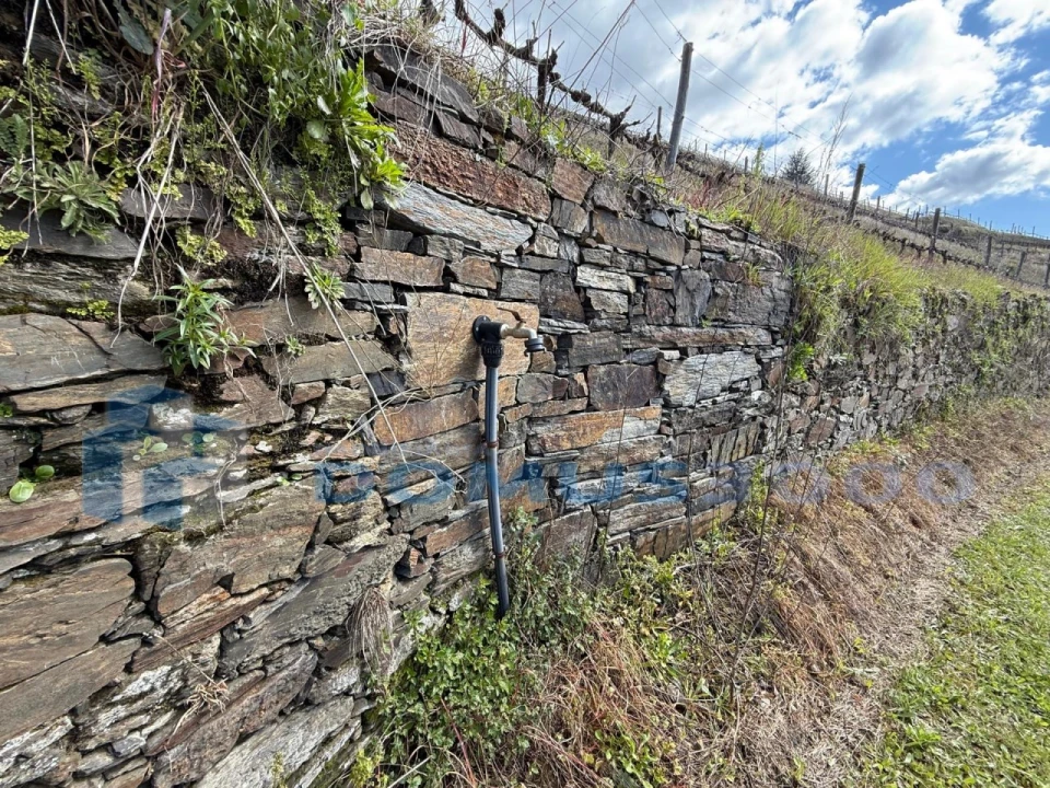 Quinta para Venda em Sever Foto 140