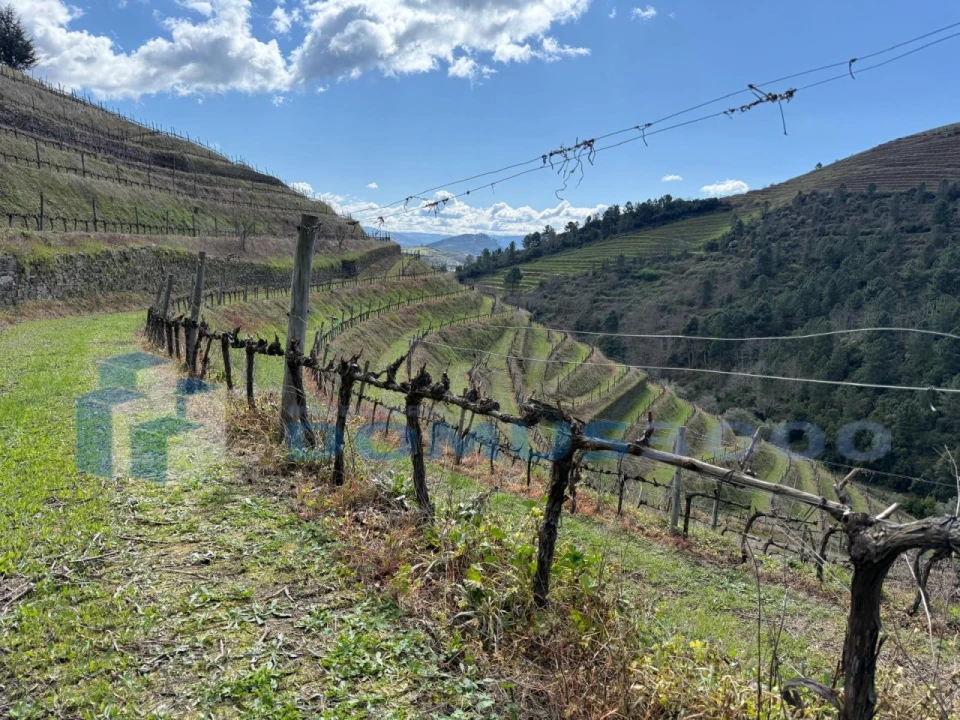 Quinta para Venda em Sever Foto 141