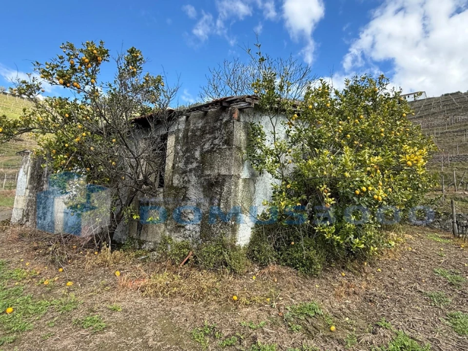 Quinta para Venda em Sever Foto 142