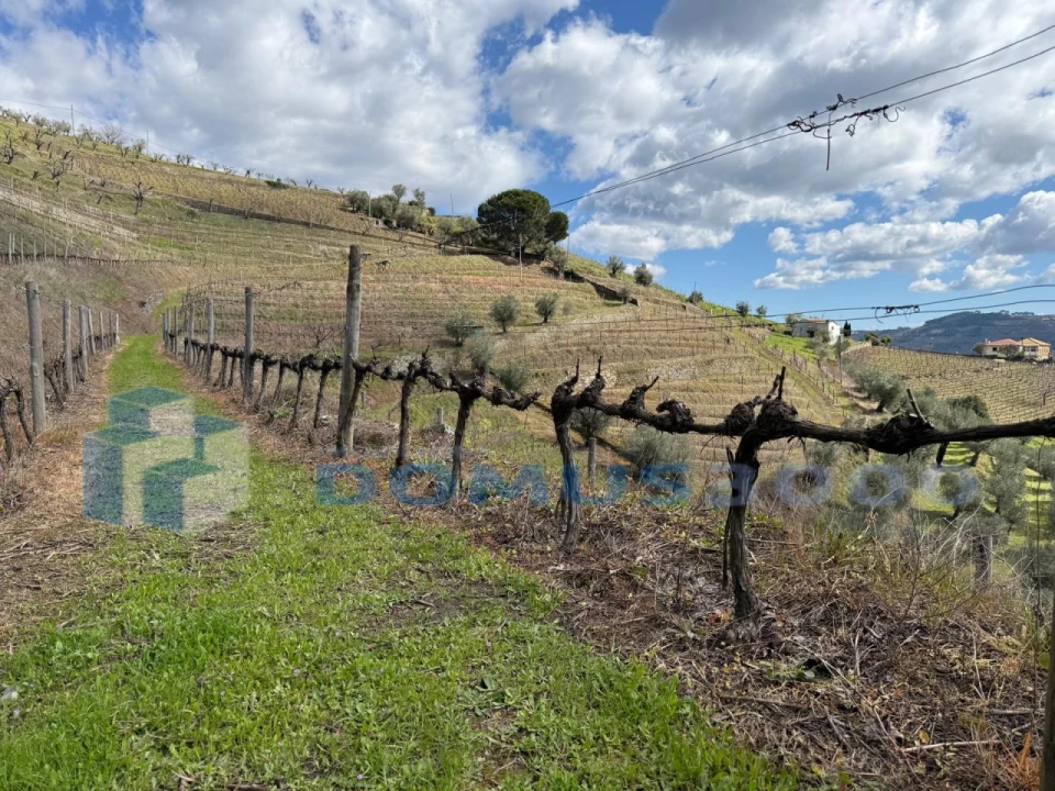 Quinta para Venda em Sever Foto 149