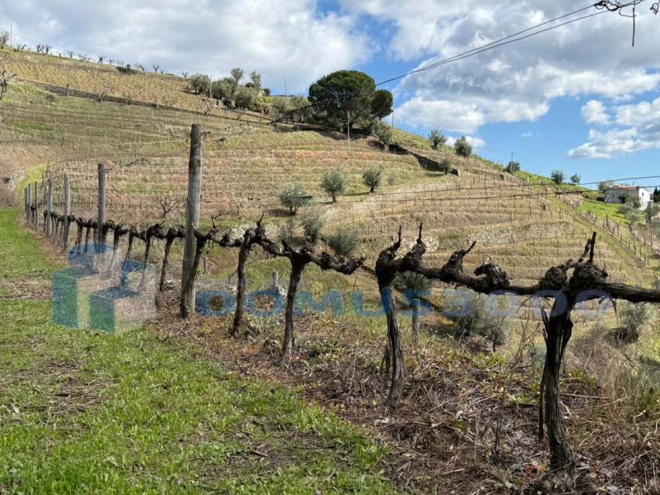 Quinta para Venda em Sever Foto 150