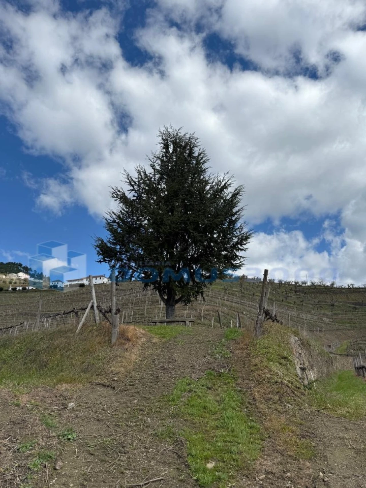 Quinta para Venda em Sever Foto 153