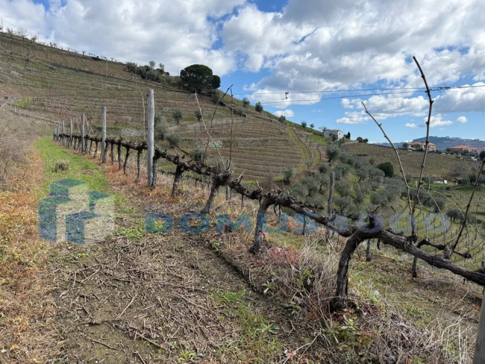 Quinta para Venda em Sever Foto 154