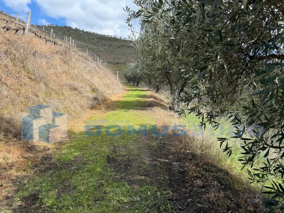 Quinta para Venda em Sever Foto 160