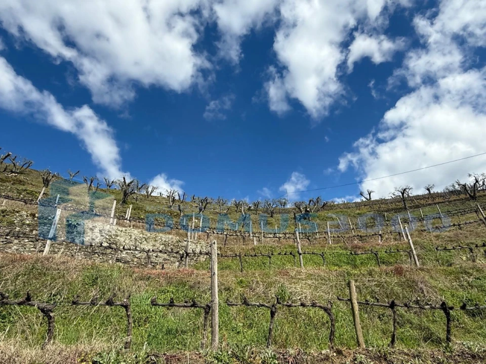 Quinta para Venda em Sever Foto 161