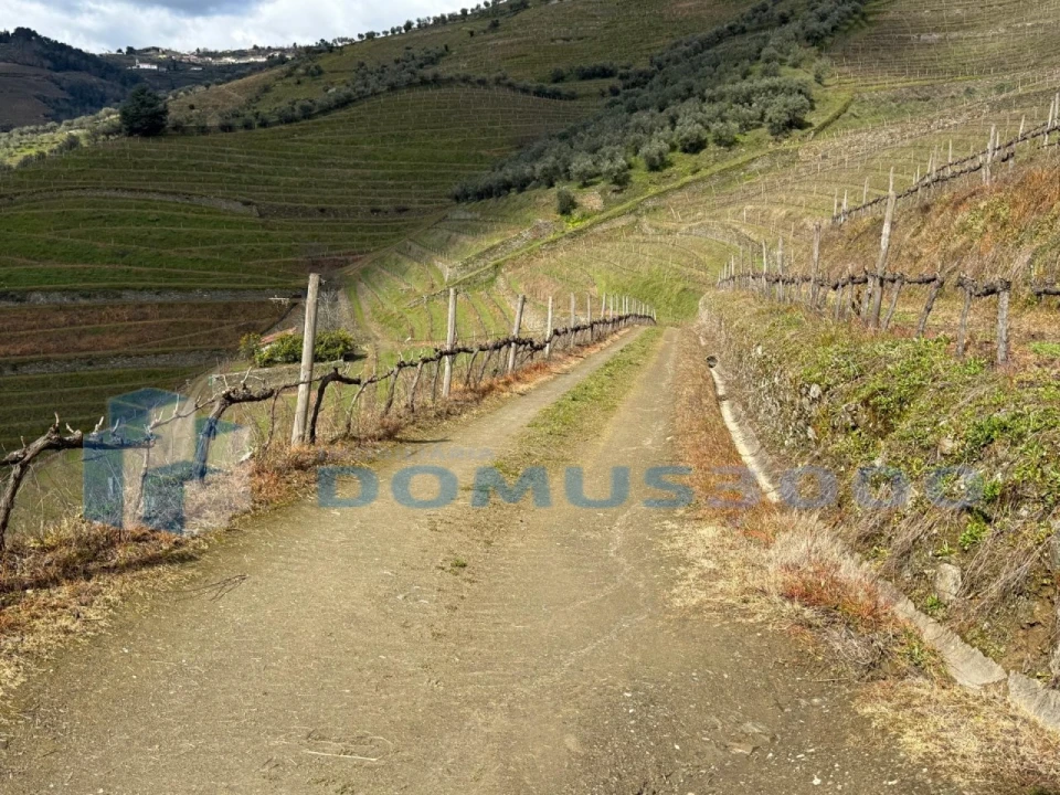 Quinta para Venda em Sever Foto 167