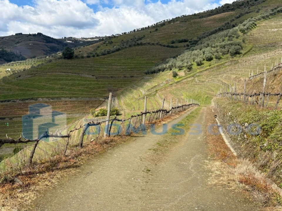 Quinta para Venda em Sever Foto 168