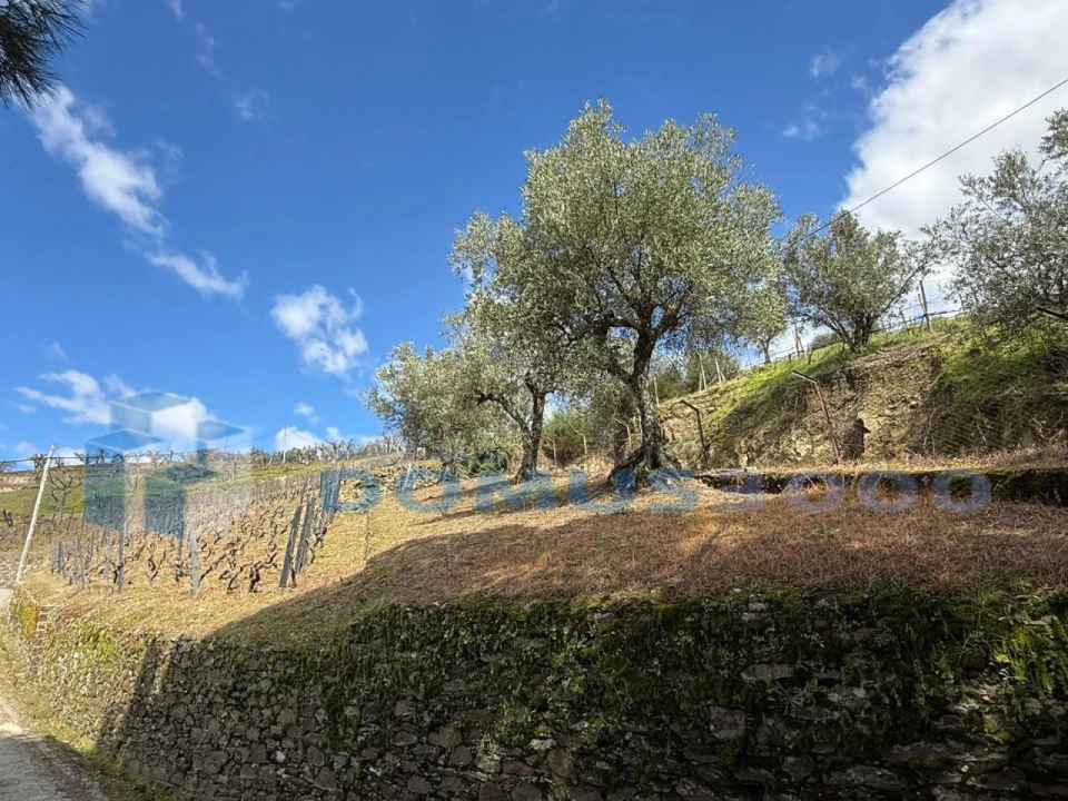 Quinta para Venda em Sever Foto 170