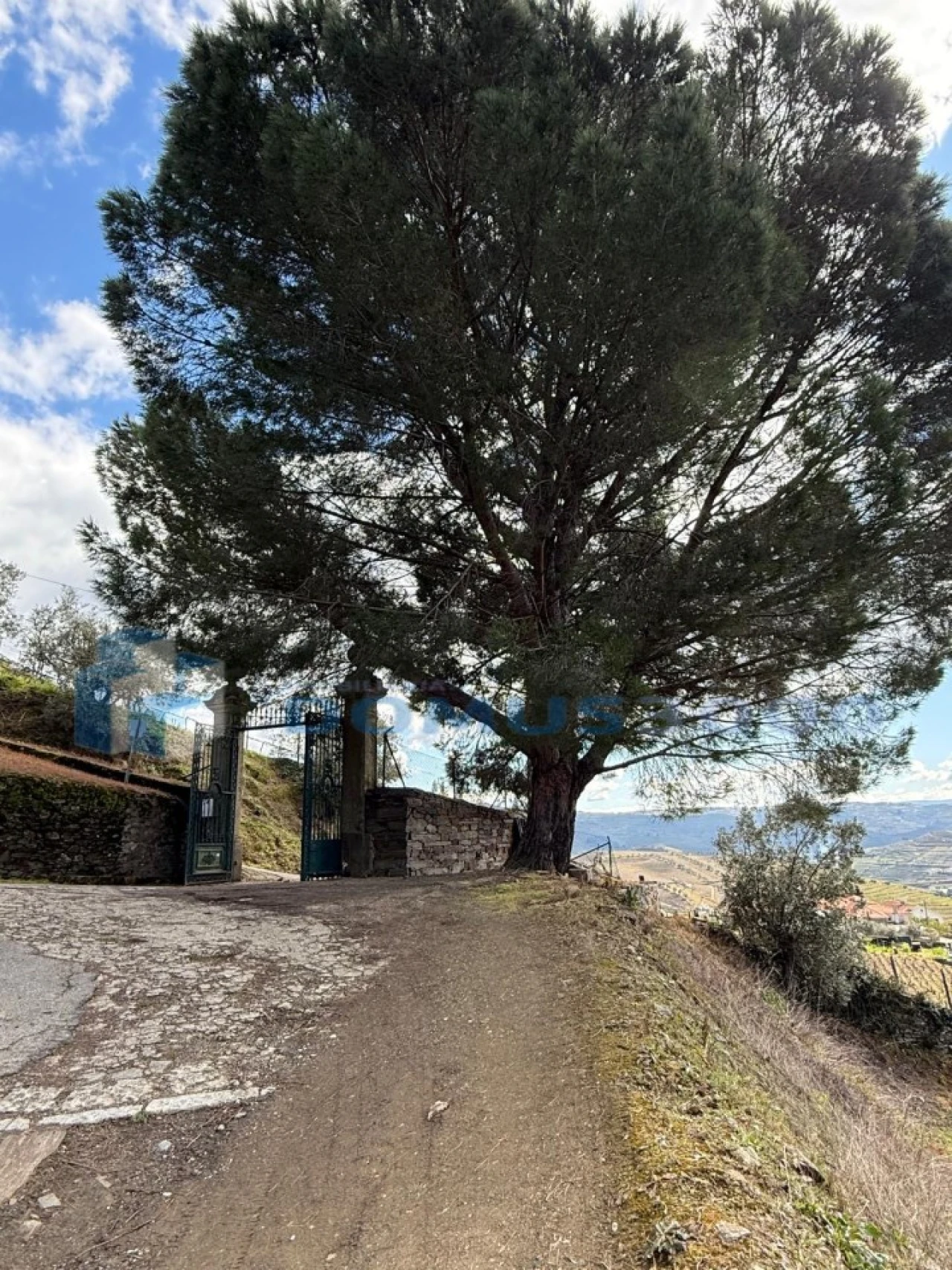 Quinta para Venda em Sever Foto 171