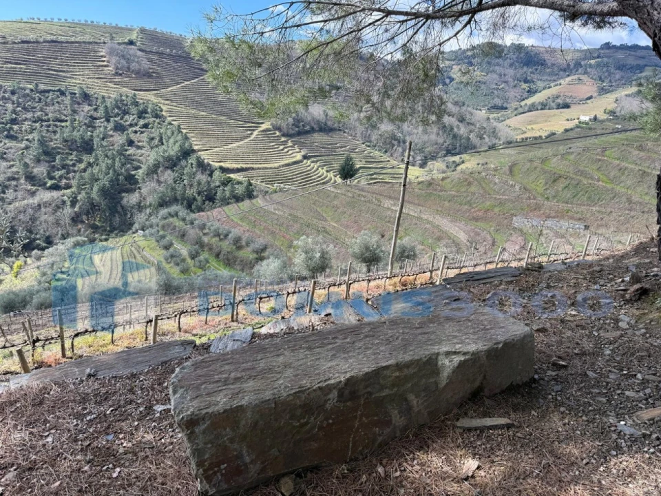 Quinta para Venda em Sever Foto 172