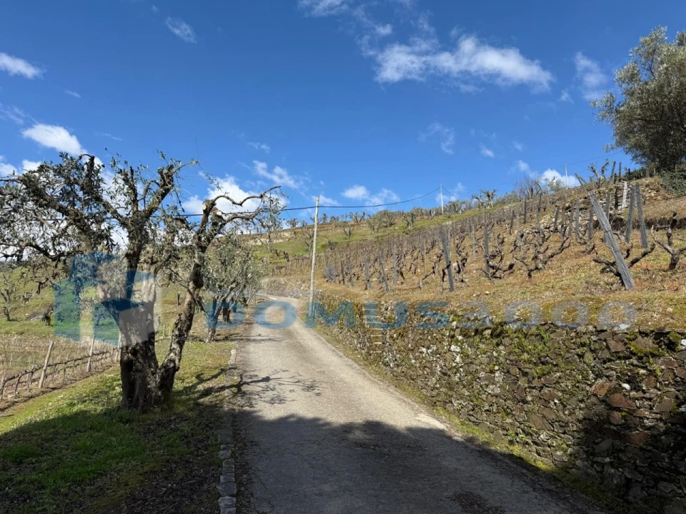 Quinta para Venda em Sever Foto 173