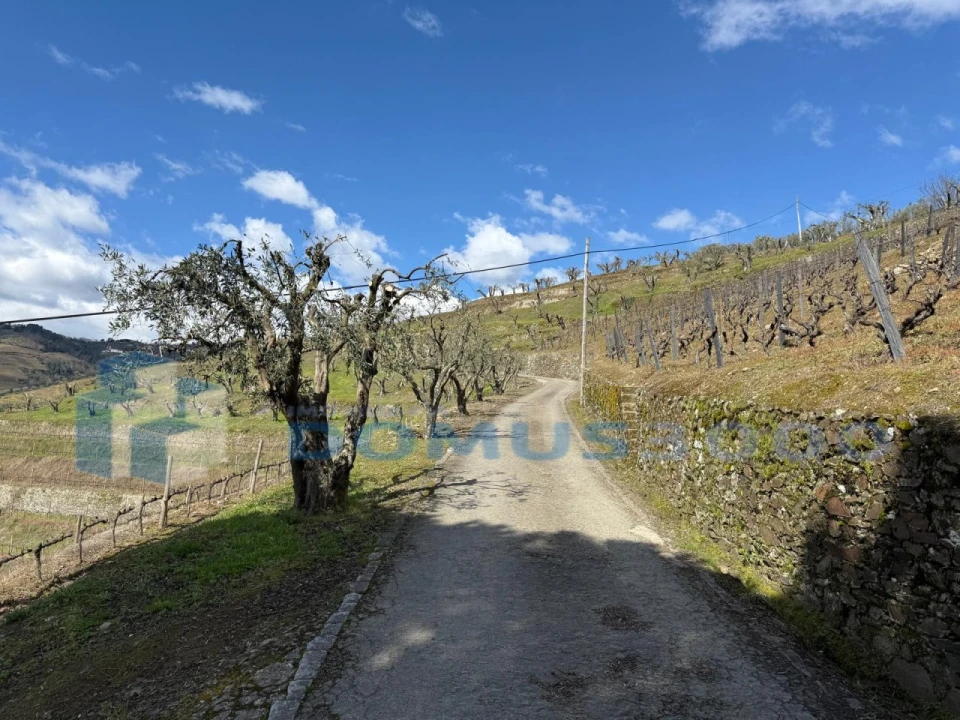 Quinta para Venda em Sever Foto 175