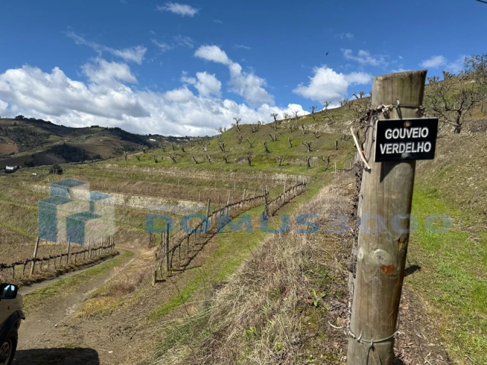 Quinta para Venda em Sever Foto 179