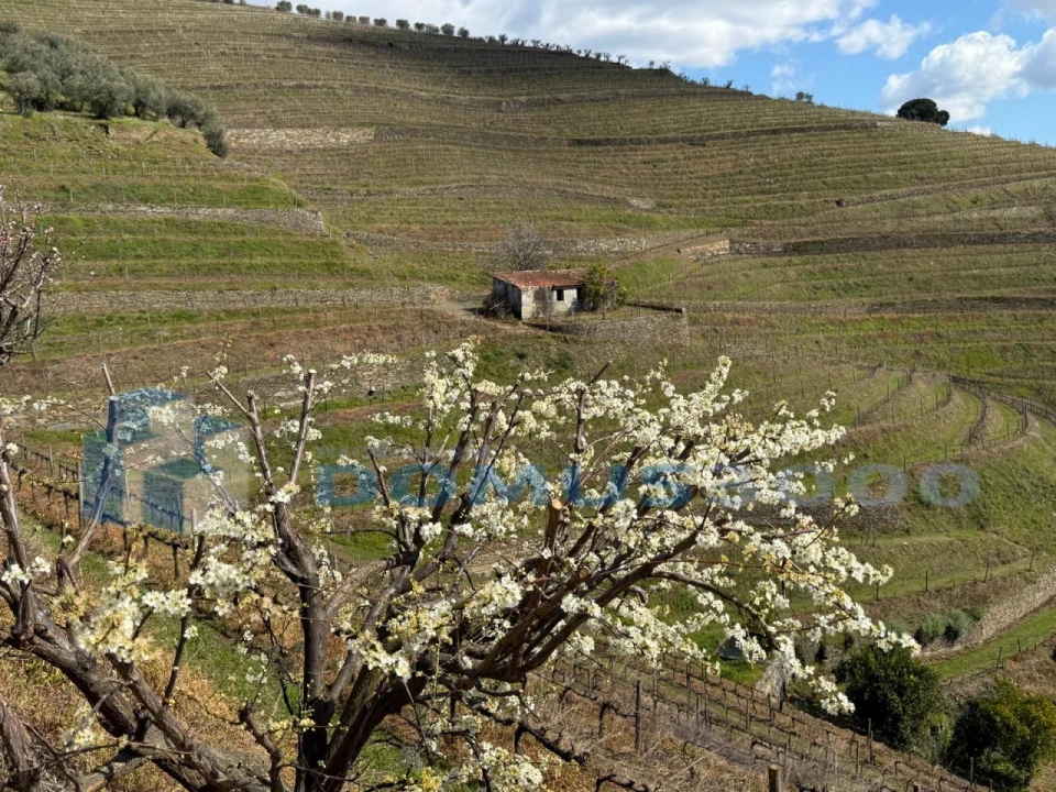 Quinta para Venda em Sever Foto 182