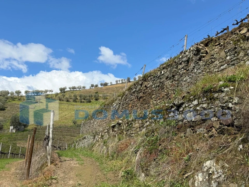 Quinta para Venda em Sever Foto 183