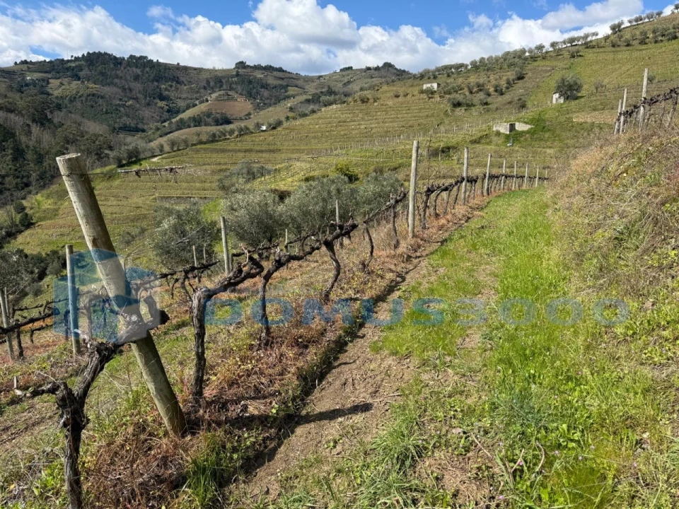 Quinta para Venda em Sever Foto 184