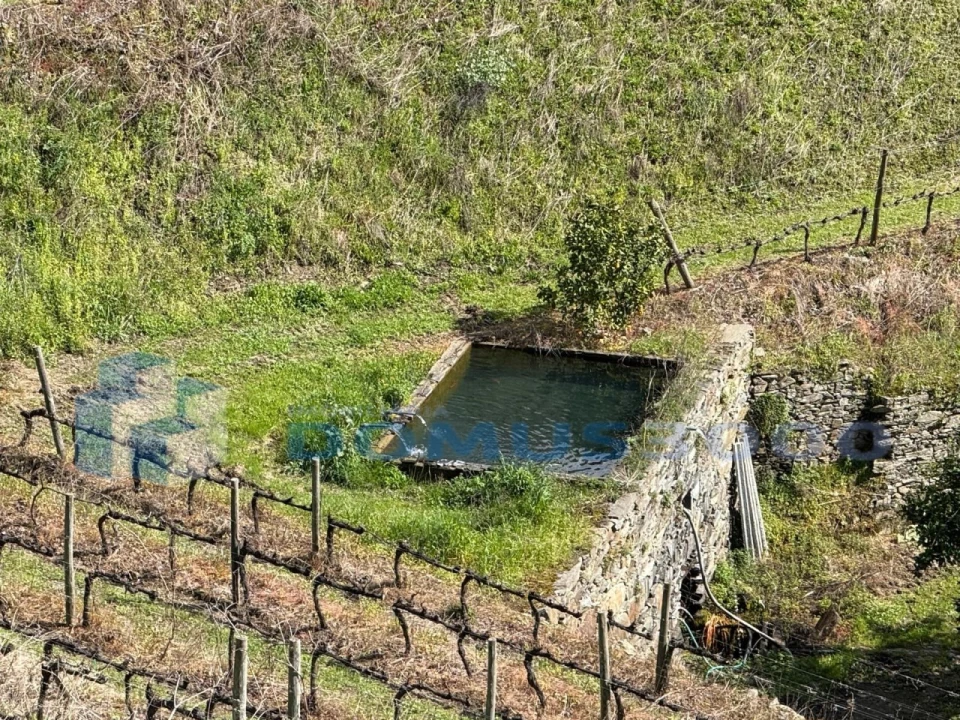Quinta para Venda em Sever Foto 187