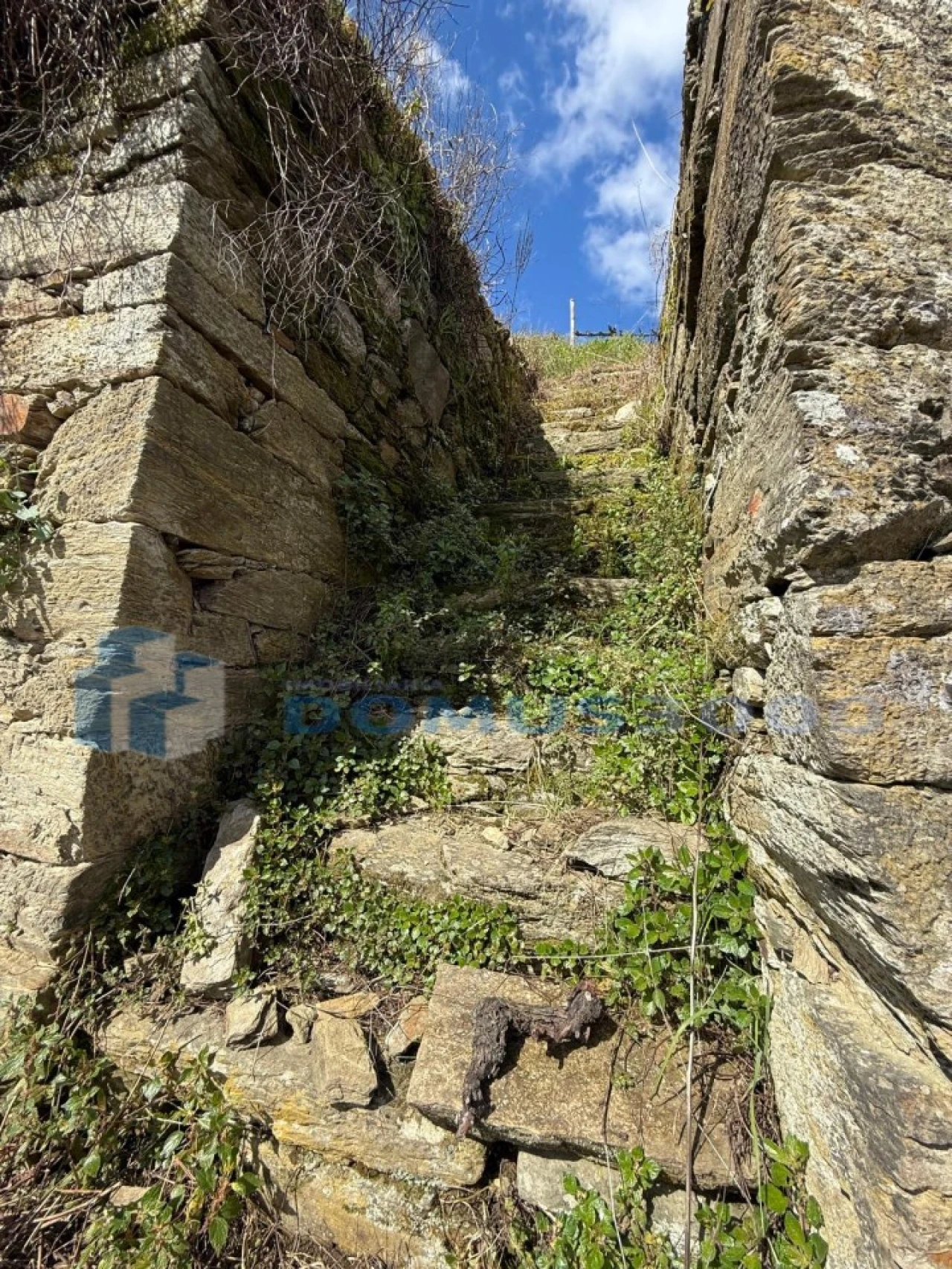 Quinta para Venda em Sever Foto 192