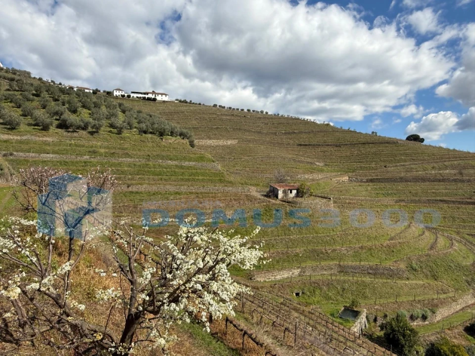 Quinta para Venda em Sever Foto 194