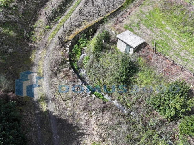 Quinta para Venda em Sever Foto 3