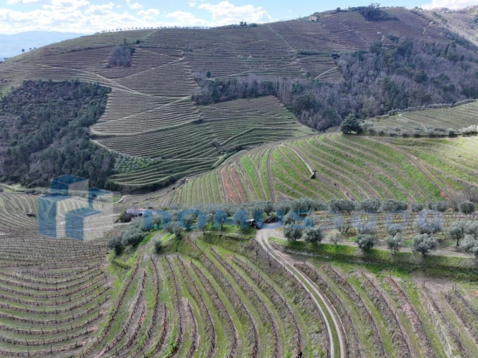 Quinta para Venda em Sever Foto 12