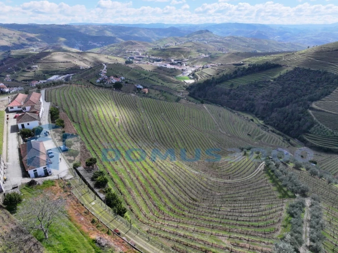 Quinta para Venda em Sever Foto 16