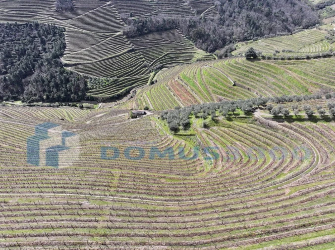 Quinta para Venda em Sever Foto 18