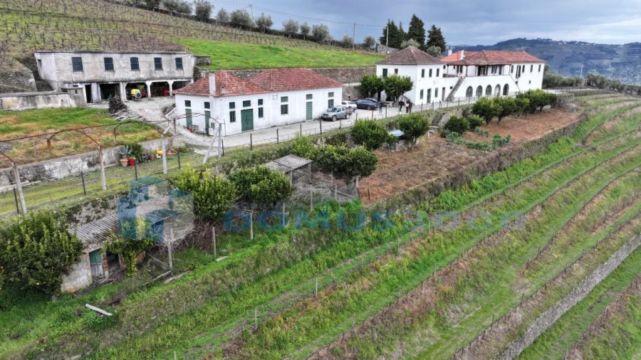 Quinta para Venda em Sever Foto 21