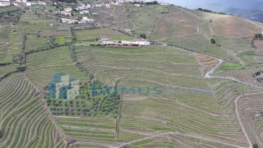 Quinta para Venda em Sever Foto 29