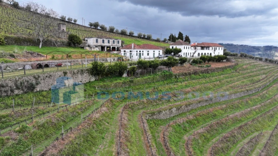Quinta para Venda em Sever Foto 30