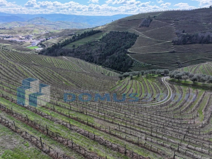 Quinta para Venda em Sever Foto 38