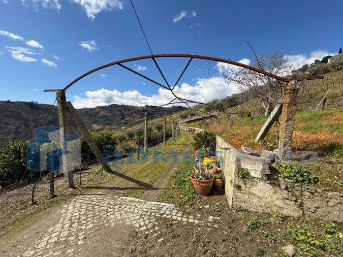 Quinta para Venda em Sever Foto 49