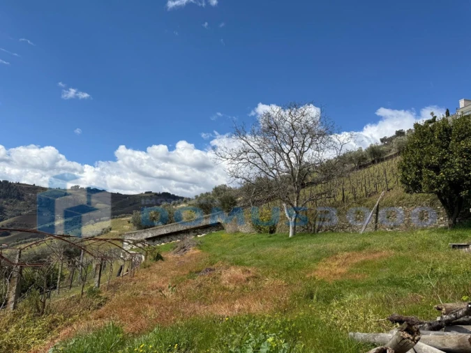 Quinta para Venda em Sever Foto 57