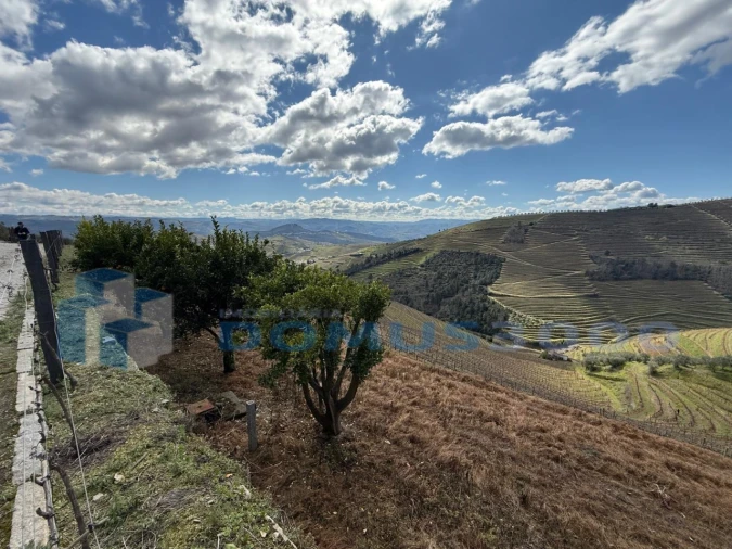 Quinta para Venda em Sever Foto 88