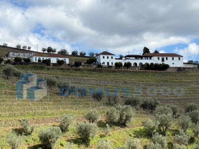 Quinta para Venda em Sever Foto 109