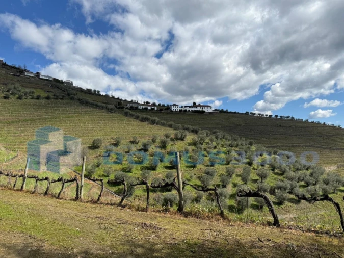 Quinta para Venda em Sever Foto 113